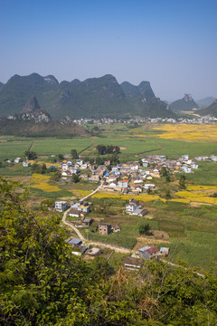 美丽乡村乡村田园