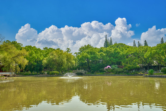 公园风景