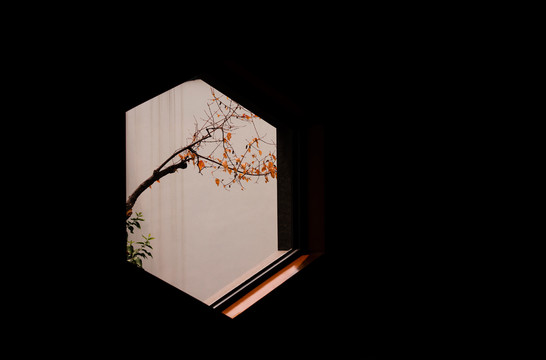 窗外