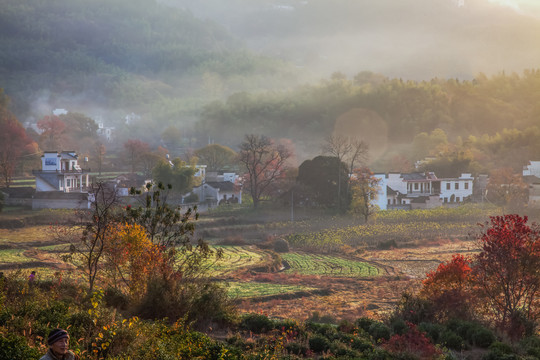 塔川红叶塔川黟县皖南