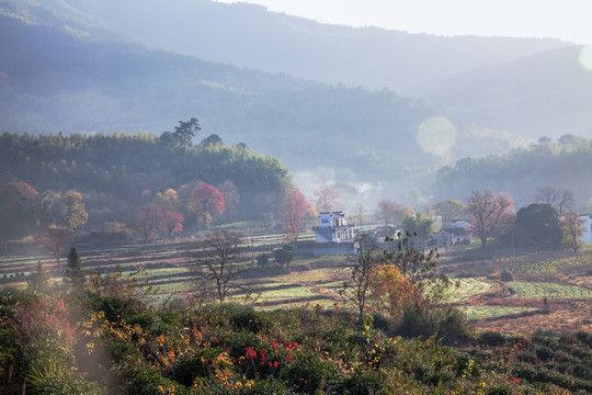 塔川红叶塔川黟县皖南