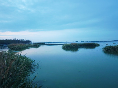 湿地公园树林秀丽风光