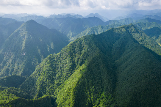 大山