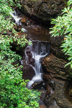 山水树林岩石