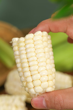 白色玉米