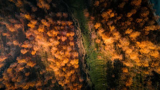 美姑龙头山川西秋天凉山