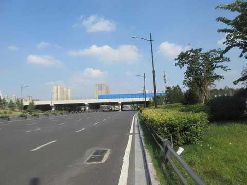 城市道路