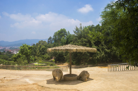 泉州犀牛园风景