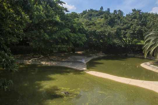 河马池