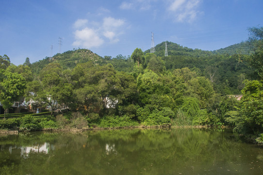 青山绿水风景