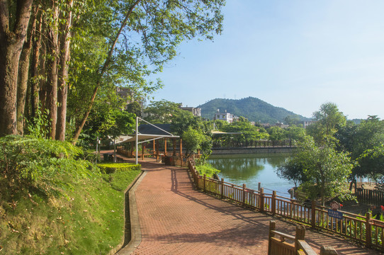 天鹅湖观景湖畔