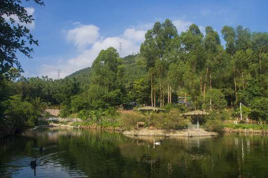 天鹅湖园林风景