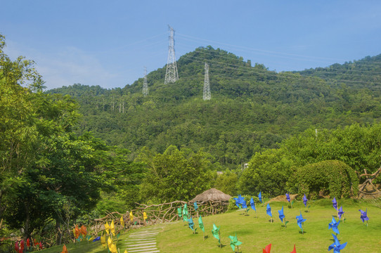 海丝野生动物世界自然风景