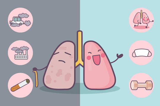 卡通风环境汗作习对肺的影响插图