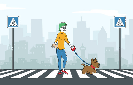 导盲犬帮助主人横穿马路插图