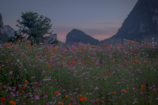 花海