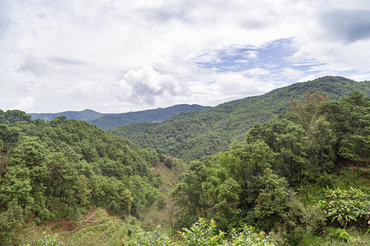 绿色大山