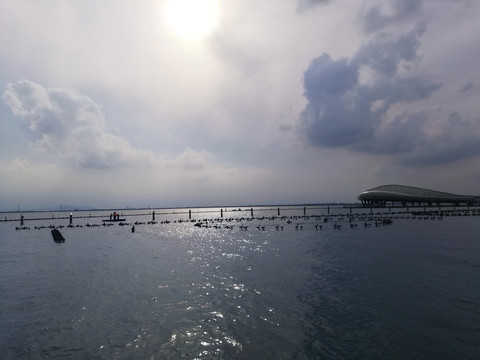 苏州湾大剧院风景