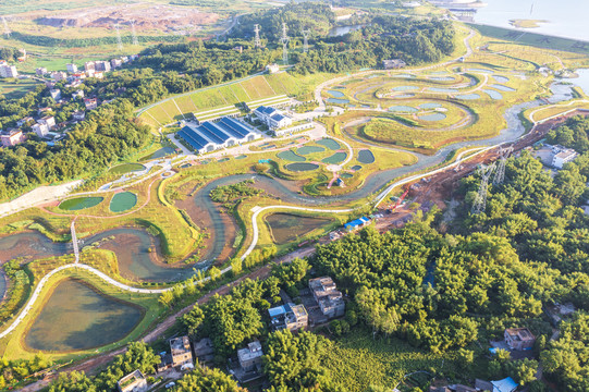 广西桂平大藤峡鱼洄游通道