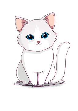 动物白色猫咪布偶蓝眼睛可爱