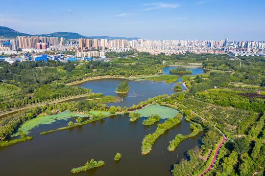 平顶山白鹭洲国家城市湿地公园