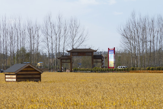 稻田公园