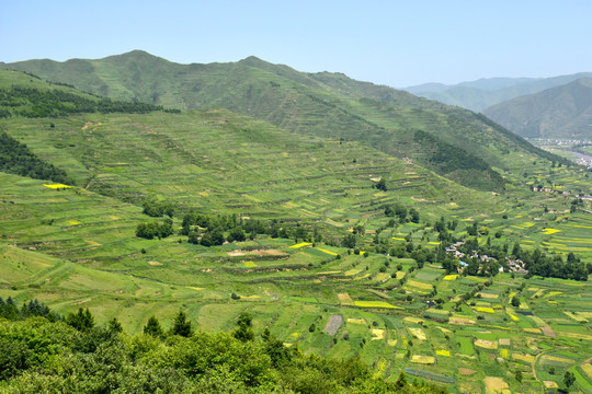 蓝天绿树新农村