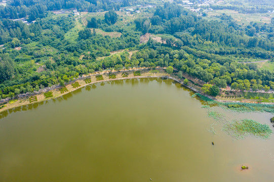 航拍河南平顶山白鹭洲湿地公园