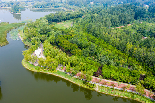 航拍河南平顶山白鹭洲湿地公园