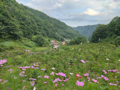 神农架桃花谷