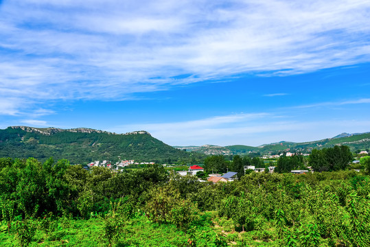 沂蒙山区