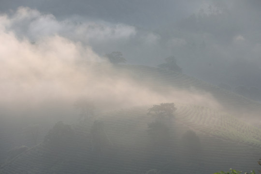 福建武夷山火焰山云海