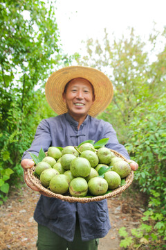 农民手里拿着一篮核桃