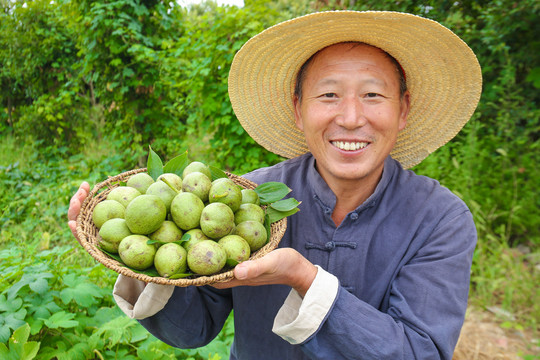 农民手里拿着一篮核桃