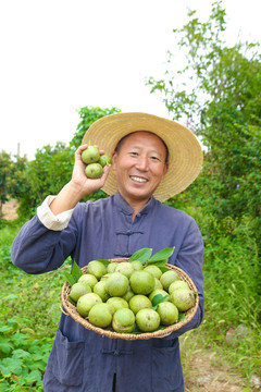 农民手里拿着一篮核桃