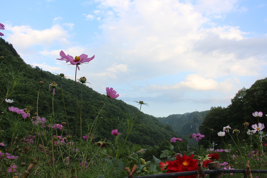 秘境神农架桃花谷