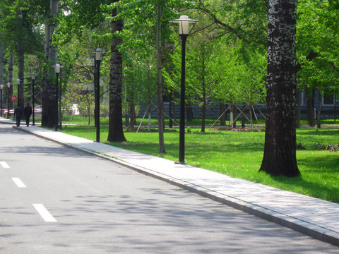 林荫小路