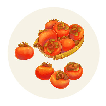 手绘水彩水果柿子