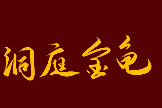 洞庭金龟