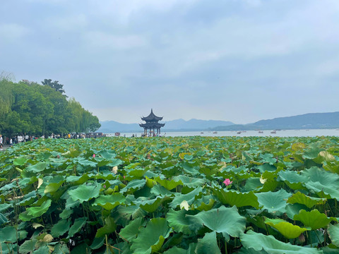 杭州西湖