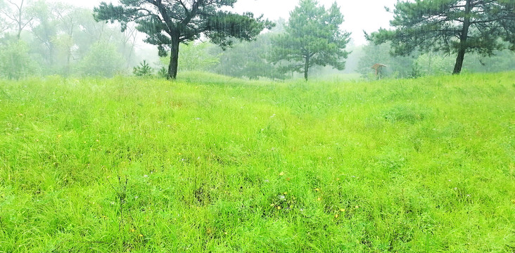 降雨