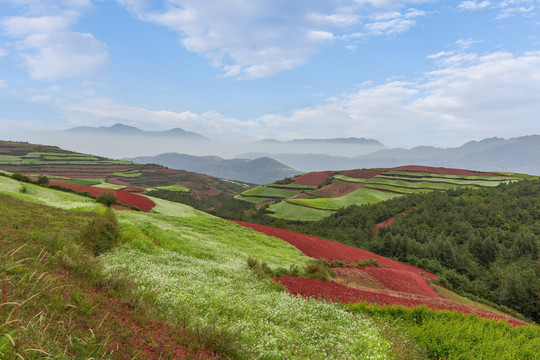 云南东川红土地大地调色板