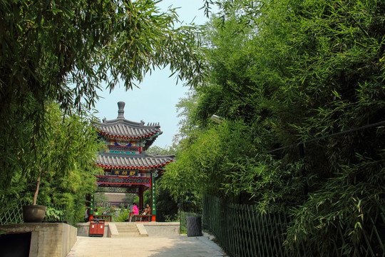 竹林公园