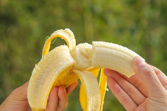 手里拿着香蕉