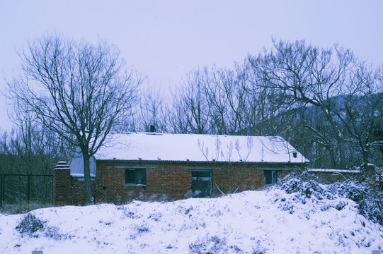 下雪后的农村老房子