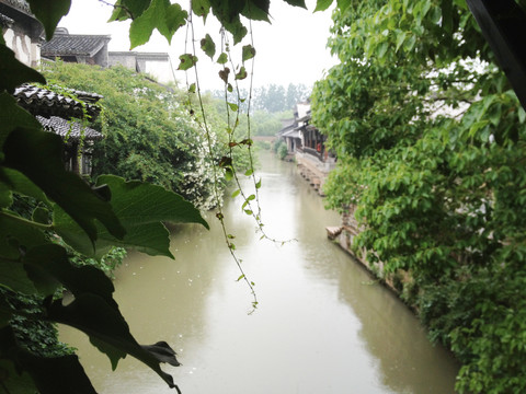 雨中乌镇