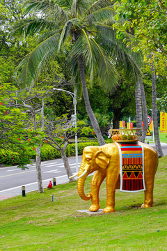 泰国金象