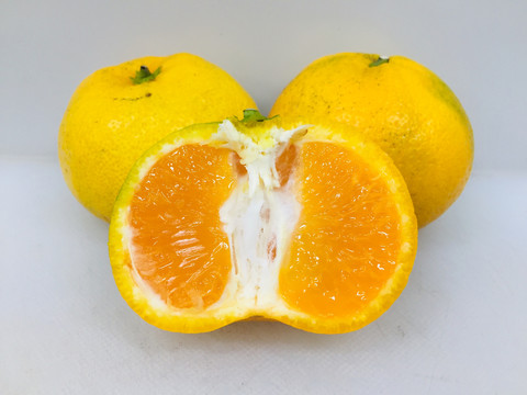 蜜橘