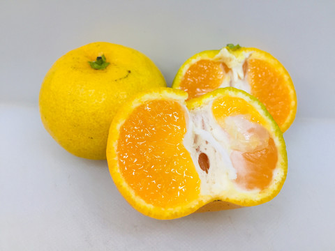 蜜橘