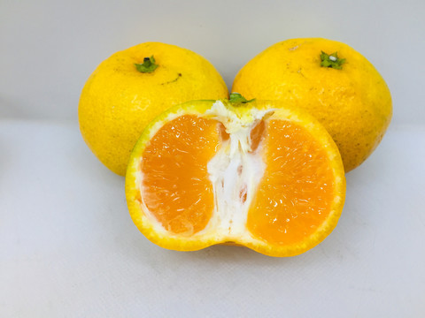 蜜橘
